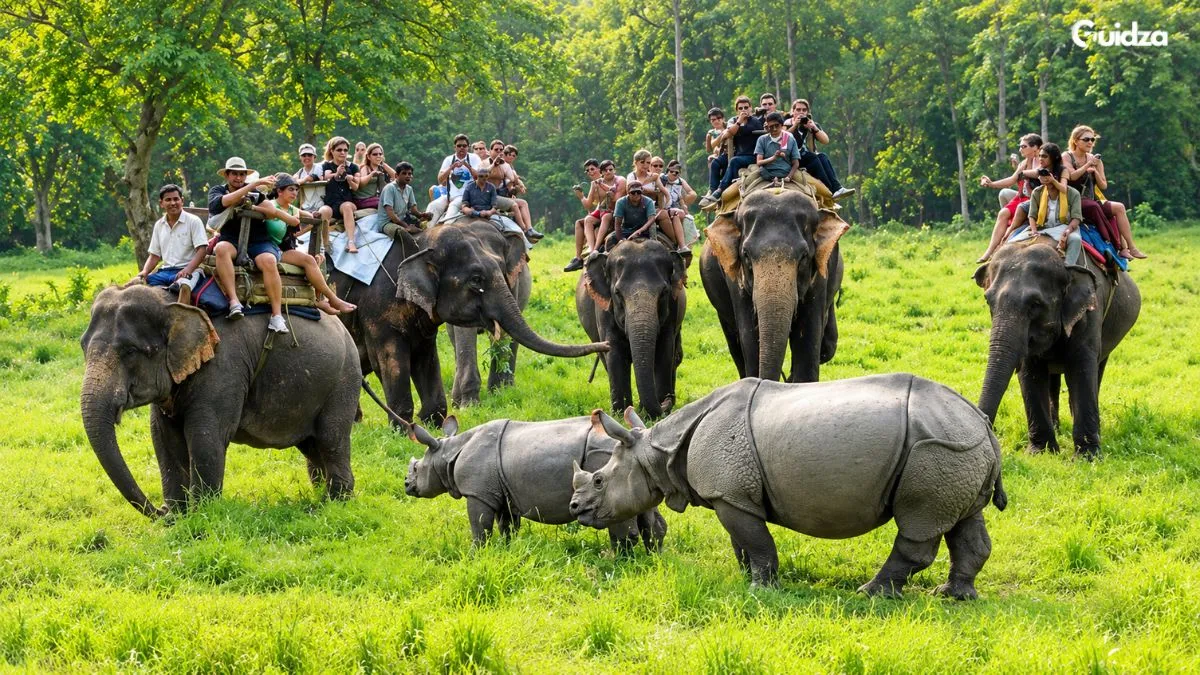 Jungle Safari in chitwan